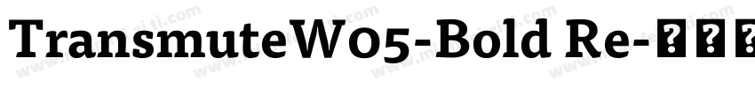 TransmuteW05-Bold Re字体转换